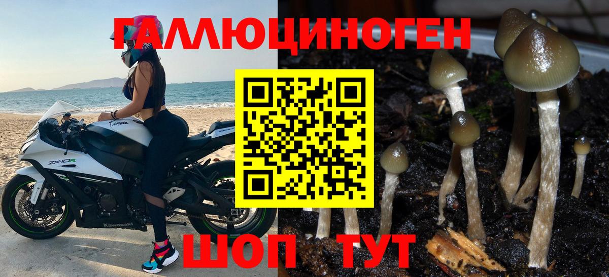 Галлюциногенные грибы Psilocybine cubensis  Вход с VPN  Серов  Псилоцибиновые грибы GOLDEN TEACHER 