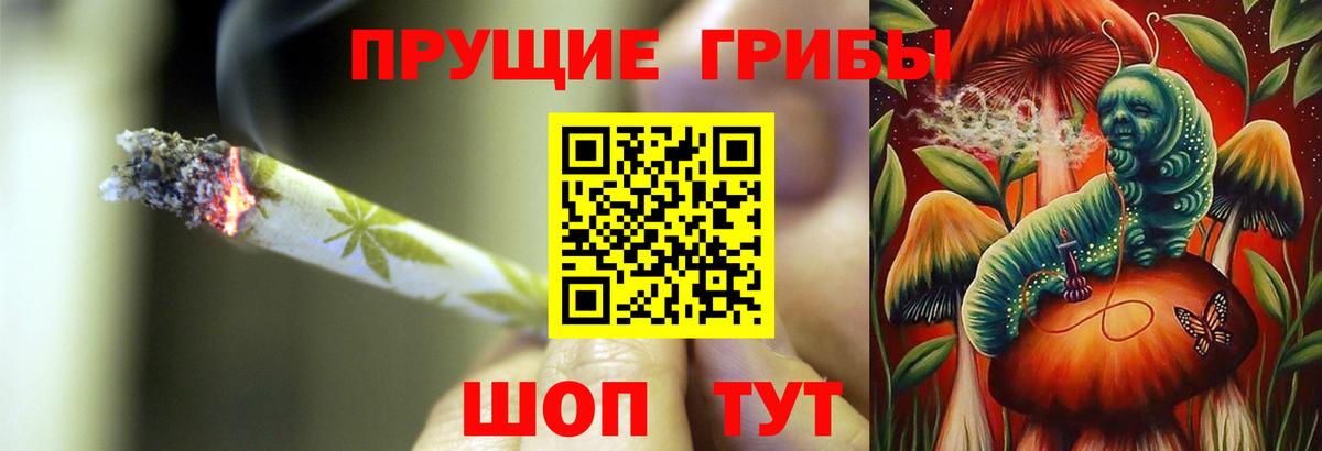 Галлюциногенные грибы прущие грибы Серов